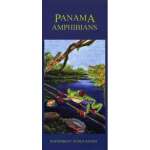 Panama: Amphibians (Folding Pocket Guide)
