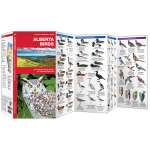 Alberta Birds (Folding Pocket Guide)
