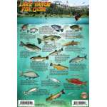 Lake Tahoe Map & Fish Guide