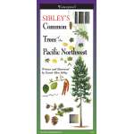 Sibley's Common Trees of The Pacific Northwest