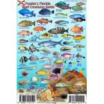 Florida Reef Creatures Guide LAMINATED CARD