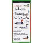 Sibley's Ducks, Geese,& Swans of Western N.A.