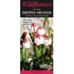Wildflowers of the Sierra Nevada