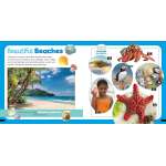 Little Kids First Nature Guide: Explore the Beach - Book - Paracay