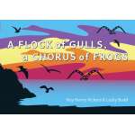 A Flock of Gulls, A Chorus of Frogs - Board Book