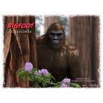 Bigfoot 2025 Calendar