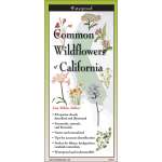 Common Wildflowers of California - Field Guide