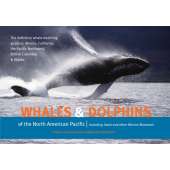 Whales and Dolphins of the North American Pacific: Including Seals and Other Marine Mammals
