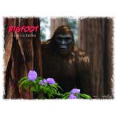 Bigfoot 2024 Calendar