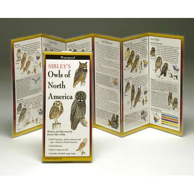 Sibley's Owls of North America (Folding Guides)