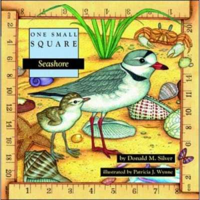 One Small Square: Seashore