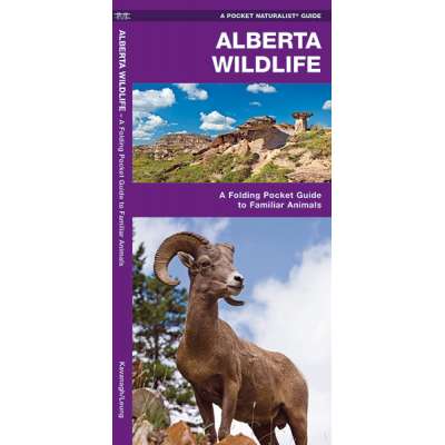 Alberta Wildlife