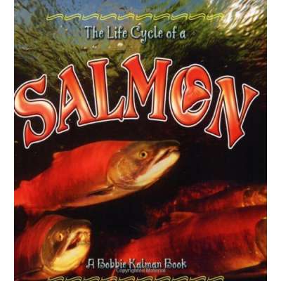 The Life Cycle of a: Salmon