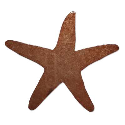 Starfish Magnet