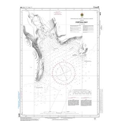 CHS Chart 4670: Forteau Bay