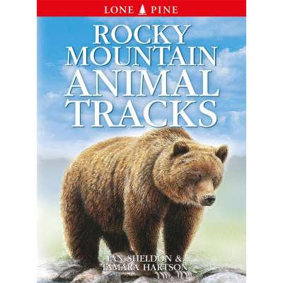 Rocky Mountain Animal Tracks
