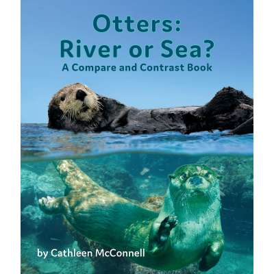 Otters: River or Sea? A Compare and Contrast Book