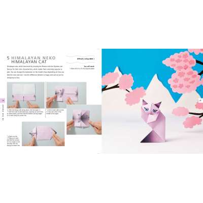 Origami Pets: Paper block plus 64-page book