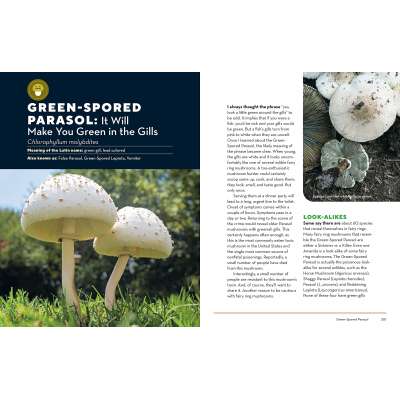 How to Forage for Mushrooms without Dying: An Absolute Beginner's Guide to Identifying 29 Wild, Edible Mushrooms