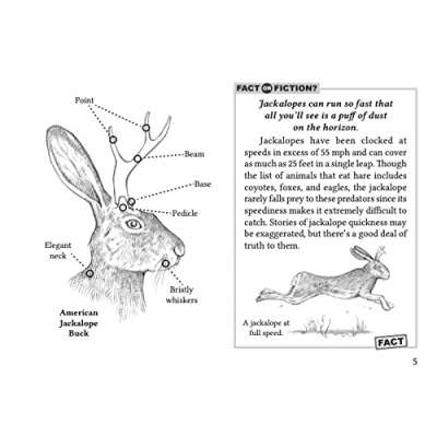 Field Guide to the North American Jackalope: Updated Edition