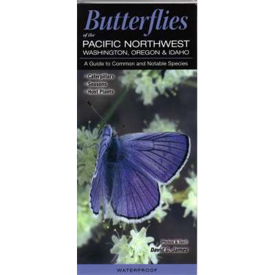 Butterflies of the Pacific Northwest: Washington, Oregon and Idaho