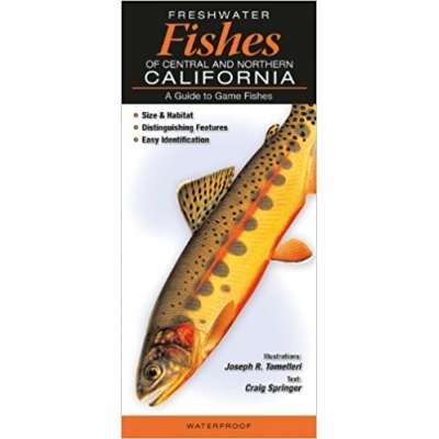 Freshwater Fishes of Central & Northern California