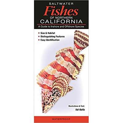 Saltwater Fishes of Northern California : A Guide to Inshore and Offshore Species