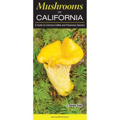 Mushrooms of California: A Guide to Common Edible and Poisonous Species