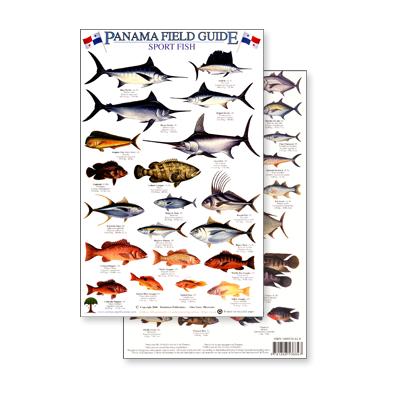 Panama Sport Fish (Laminated 2-Sided Card)