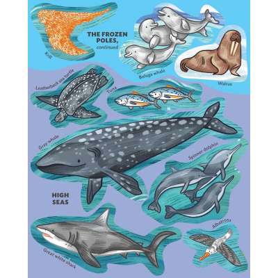Creatures of the Ocean Sticker Poster - Book
