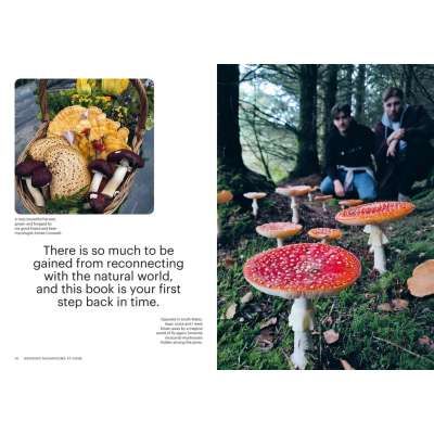 Growing Mushrooms at Home - Book