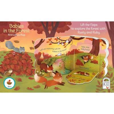 Babies in the Forest - Board book