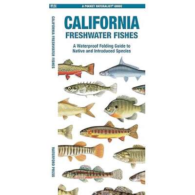 California Freshwater Fishes - Pocket Guide