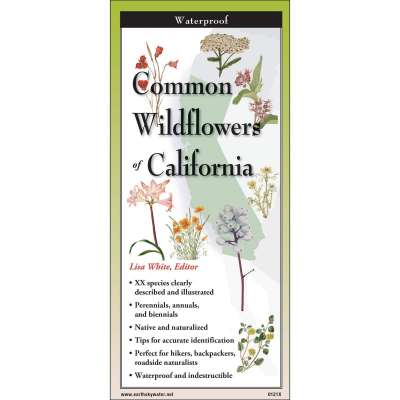 Common Wildflowers of California - Field Guide