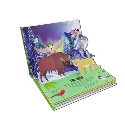 Nature Pop-Up! Forests: 8 Pop-up Forest - Book