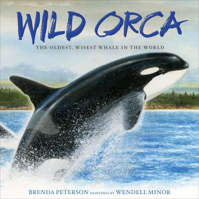 Wild Orca: The Oldest, Wisest Whale in the World - Book