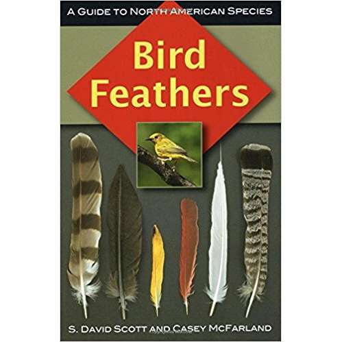 Bird Feathers - Facts & Information Guide For Feathers