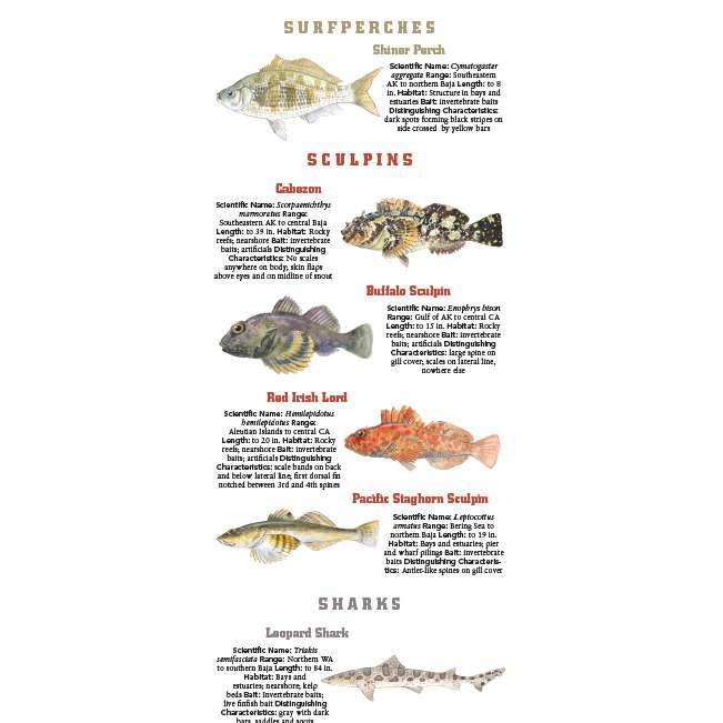 saltwater game fish species