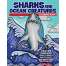Sharks and Ocean Creatures Coloring Book