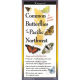 Common Butterflies of the Pacific Northwest