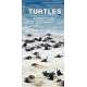 Turtles: A Folding Pocket Guide to the Status of Familiar Species