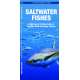Saltwater Fishes 2nd Ed.