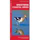 Western Coastal Birds: A Waterproof Folding Guide to Familiar Species 2nd ed.