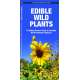 Edible Wild Plants